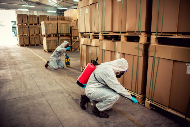 Best Pest Inspection Near Me  in Lacoochee, FL