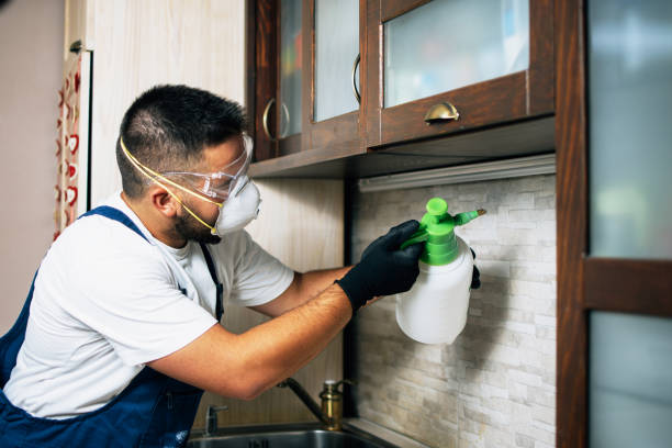 Insect Control in Lacoochee, FL