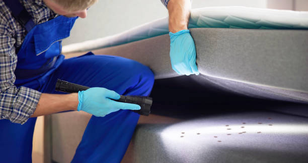 Best Pest Removal Services  in Lacoochee, FL