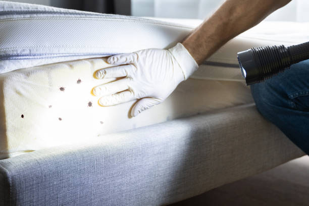 Best Best Pest Control Near Me  in Lacoochee, FL
