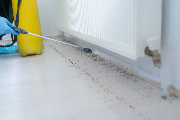 Best Local Pest Control Services  in Lacoochee, FL