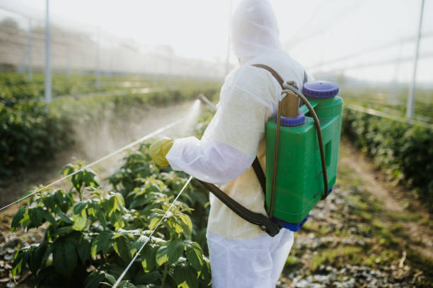 Best Pest Control Near Me in Lacoochee, FL
